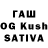 Галлюциногенные грибы Psilocybe Khurshid Faqirie