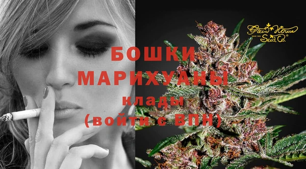 дурь Алексеевка