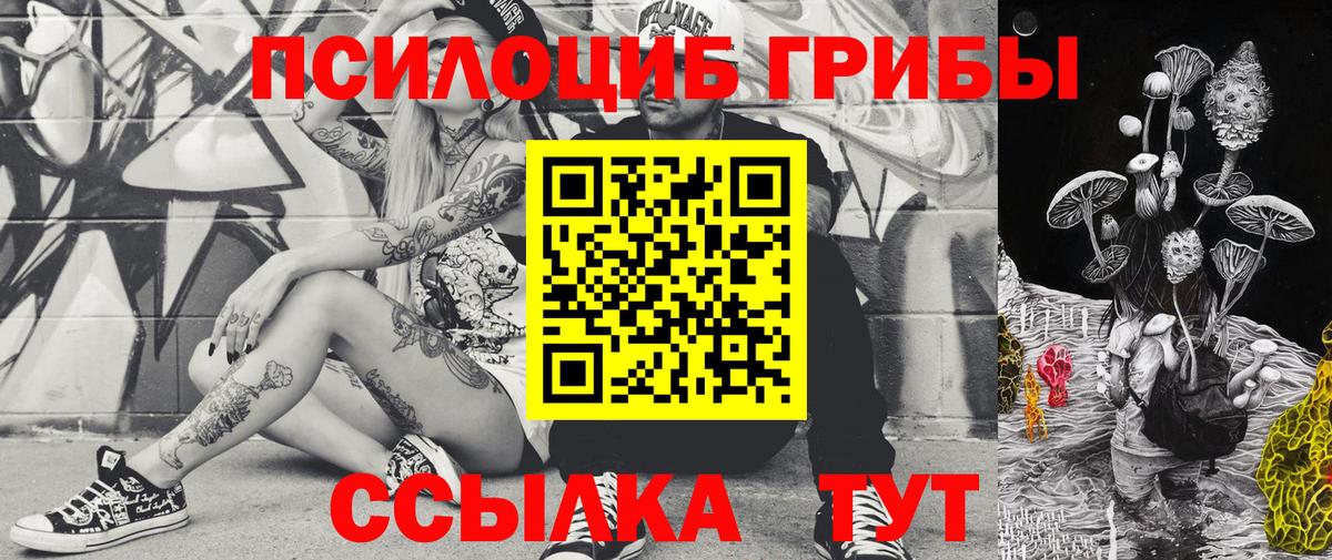 наркота  Галлюциногенные грибы ЛСД  Вход с VPN  Димитровград 