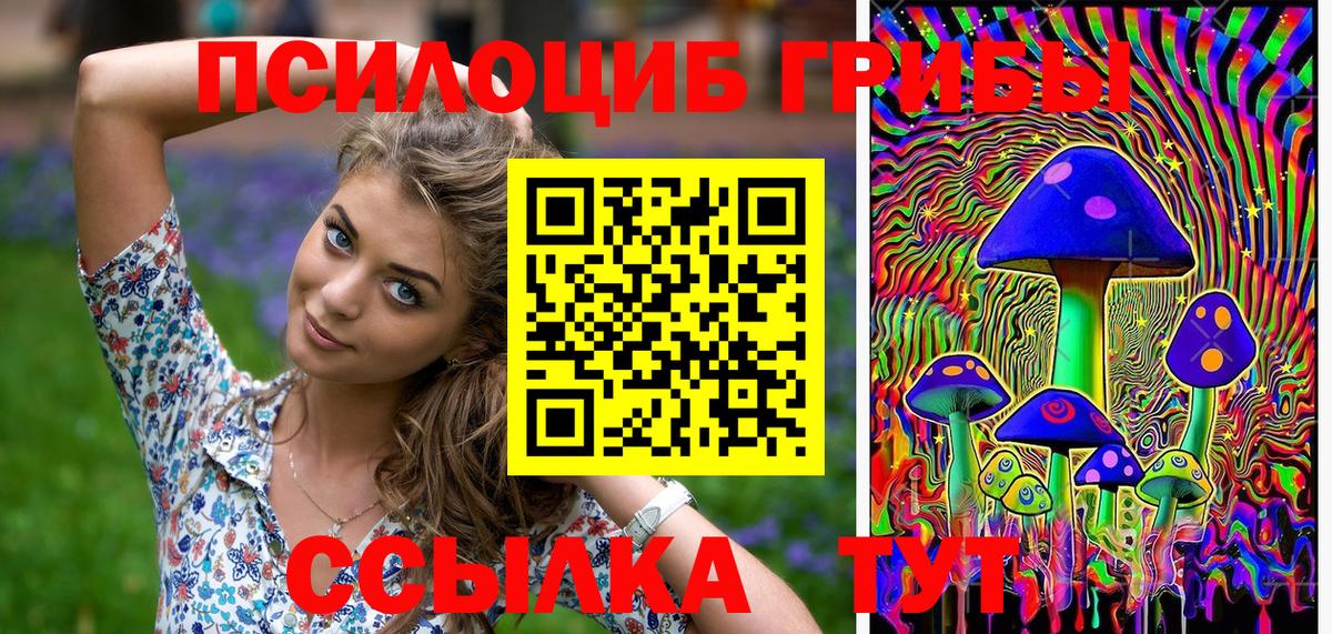 Галлюциногенные грибы Psilocybe Димитровград